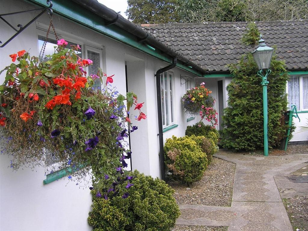 The Willow House Watton Εξωτερικό φωτογραφία